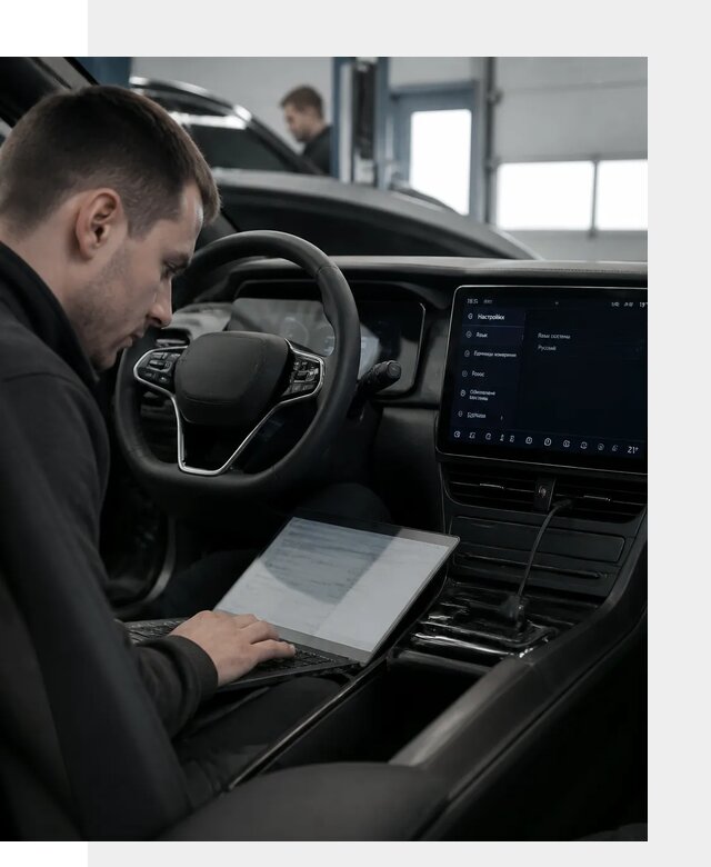 Русификация автомобилей BYD под ключ для всех моделей в Дальнереченске